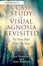 A Case Study in Visual Agnosia Revisited