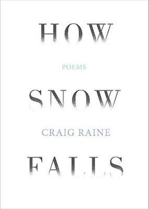 How Snow Falls