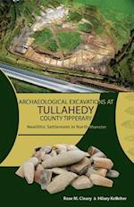 Archaeological Excavations at Tullahedy, County Tipper