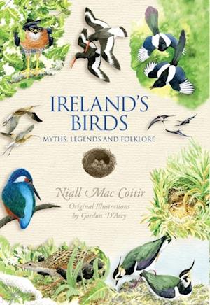 Ireland's Birds