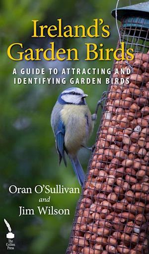 Ireland's Garden Birds