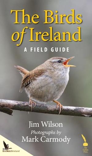 Birds of Ireland