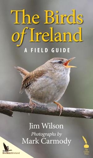 Birds of Ireland