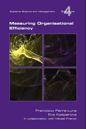 Measuring Organisational Efficiency