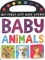 My First Lift and Learn: Baby Animals