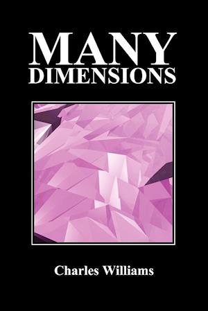 Many Dimensions (Paperback, New Ed.)