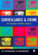 Surveillance and Crime