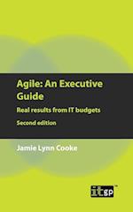 Agile An Executive Guide, second edition