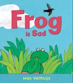 Frog is Sad