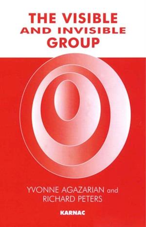 The Visible and Invisible Group