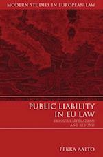 Public Liability in EU Law