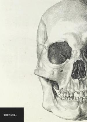 Natural History Museum: The Skull Notebook