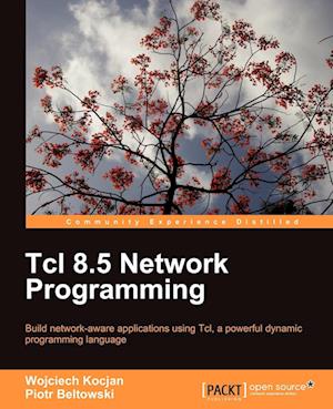 TCL 8.5 Network Programming