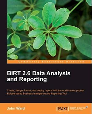 BIRT 2.6 Data Analysis and Reporting