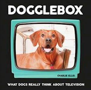 Dogglebox