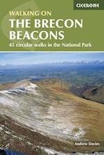 Walking on the Brecon Beacons