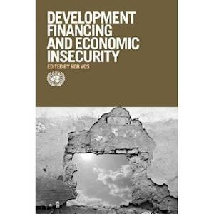 Development Financing and Economic Insecurity