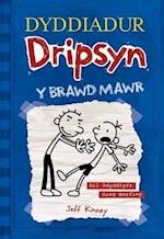 Dyddiadur Dripsyn: Y Brawd Mawr