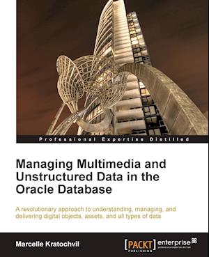 Managing Multimedia and Unstructured Data in the Oracle Database