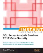 Instant SQL Server Analysis Services 2012 Cube Security