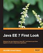 Java EE 7 First Look