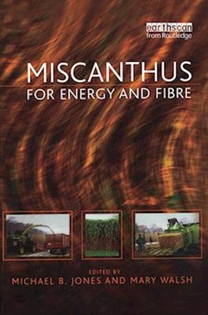 Miscanthus