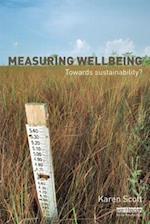 Measuring Wellbeing: Towards Sustainability?