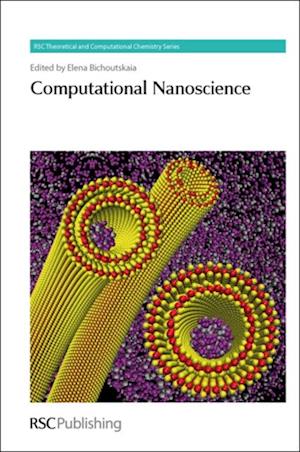 Computational Nanoscience