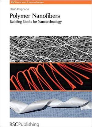 Polymer Nanofibers