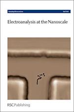 Electroanalysis at the Nanoscale