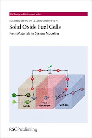 Solid Oxide Fuel Cells