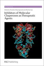 Inhibitors of Molecular Chaperones as Therapeutic Agents