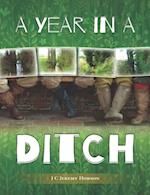 Year in a Ditch