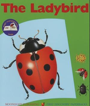 The Ladybird