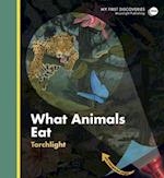 What Animals Eat