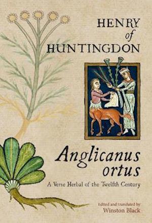 Anglicanus ortus