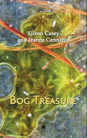 Bog Treasure