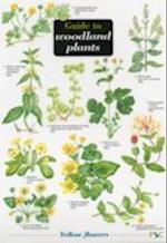 Guide to Woodland Plants