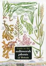 Guide to the Saltmarsh Plants of Britain