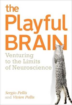 The Playful Brain