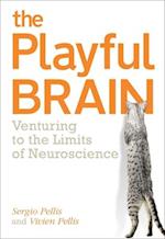 The Playful Brain