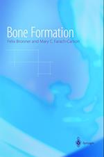 Bone Formation