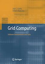 Grid Computing: Software Environments and Tools
