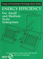 Energy Efficiency for Small and Medium Enterprises