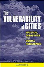 The Vulnerability of Cities
