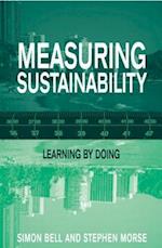 Measuring Sustainability