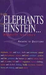 From Elephants to Einstein