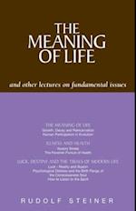 The Meaning of Life and Other Lectures on Fundamental Issues