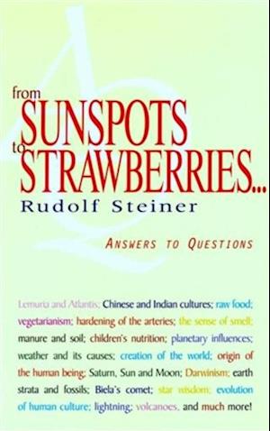 From Sunspots to Strawberries