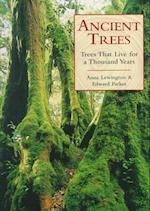 Ancient Trees - Trees That Live for a Thousand Years